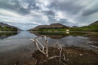 Loch Shiel1 (Glennfinnan / Schottland - Scotland) l&amp;n211