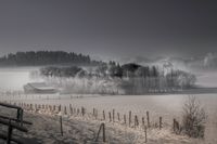 Winterstimmung / winter mood (Deutschland - Germany) winter809