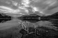 Loch Shiel (Glennfinnan / Schottland - Scotland) b&amp;w131